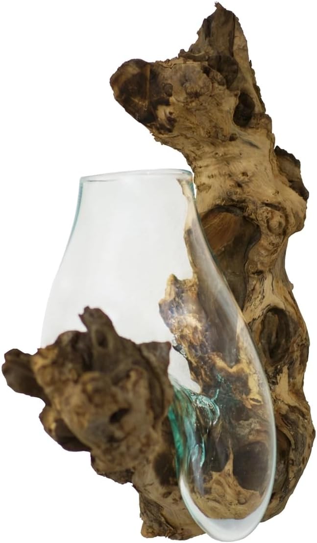 Driftwood Glass Wall Terrarium