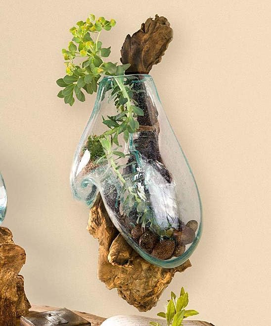Driftwood Glass Wall Terrarium