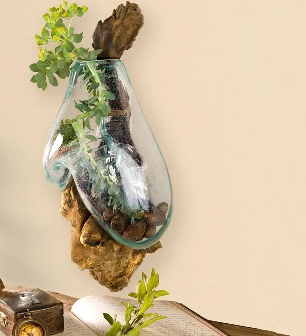 Driftwood Glass Wall Terrarium