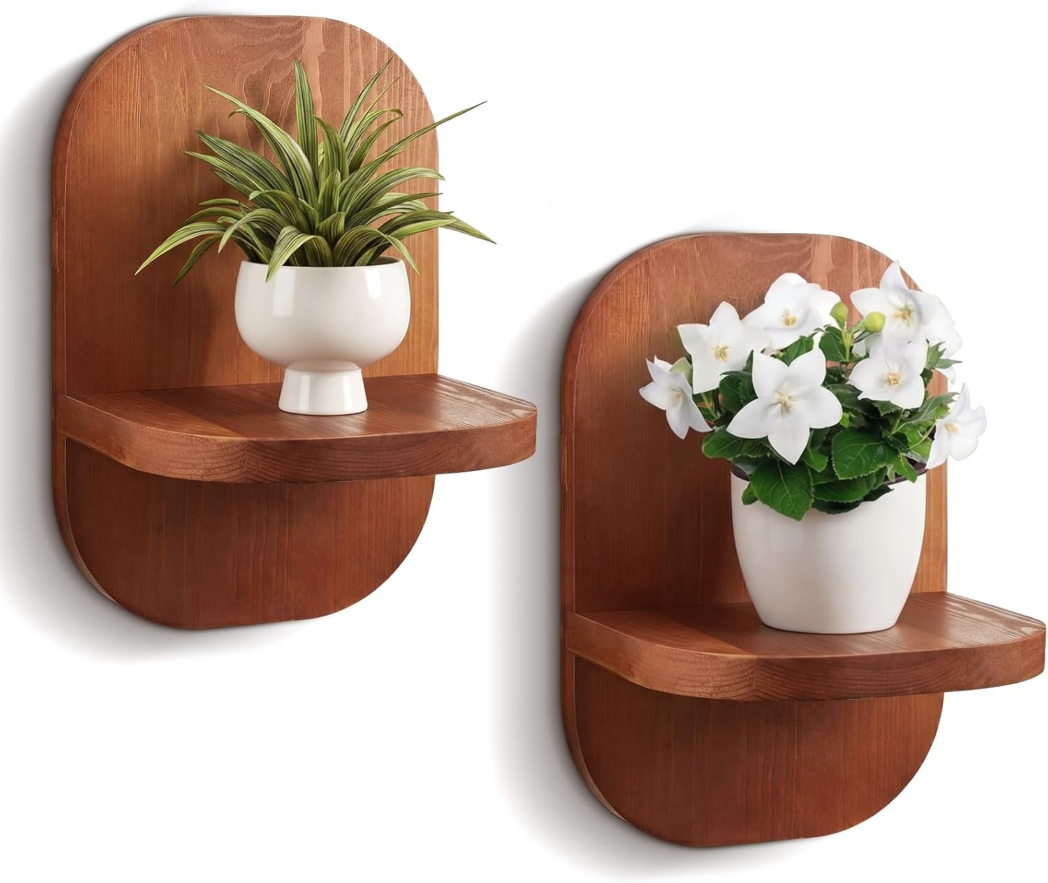 2 Pack Wood Wall Plant Holders