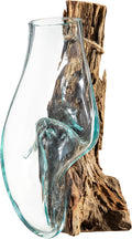 Driftwood Glass Wall Terrarium