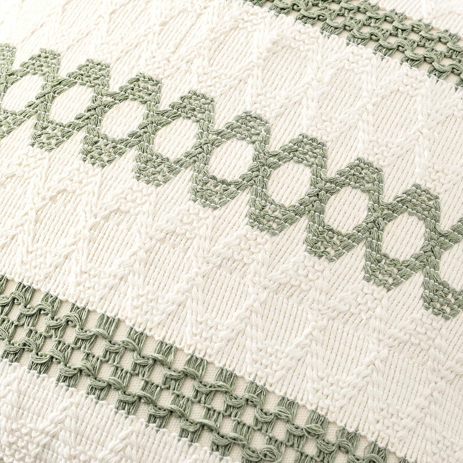 2 Pack Sage Boho Pillow Covers