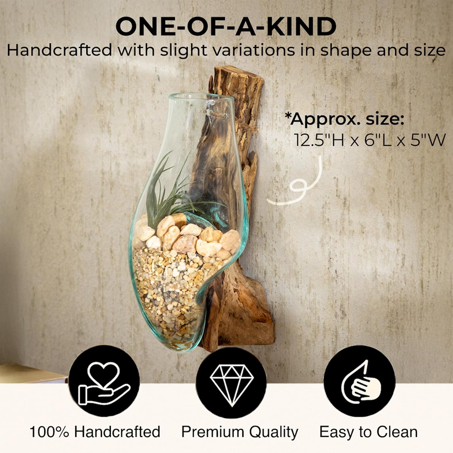 Driftwood Glass Wall Terrarium