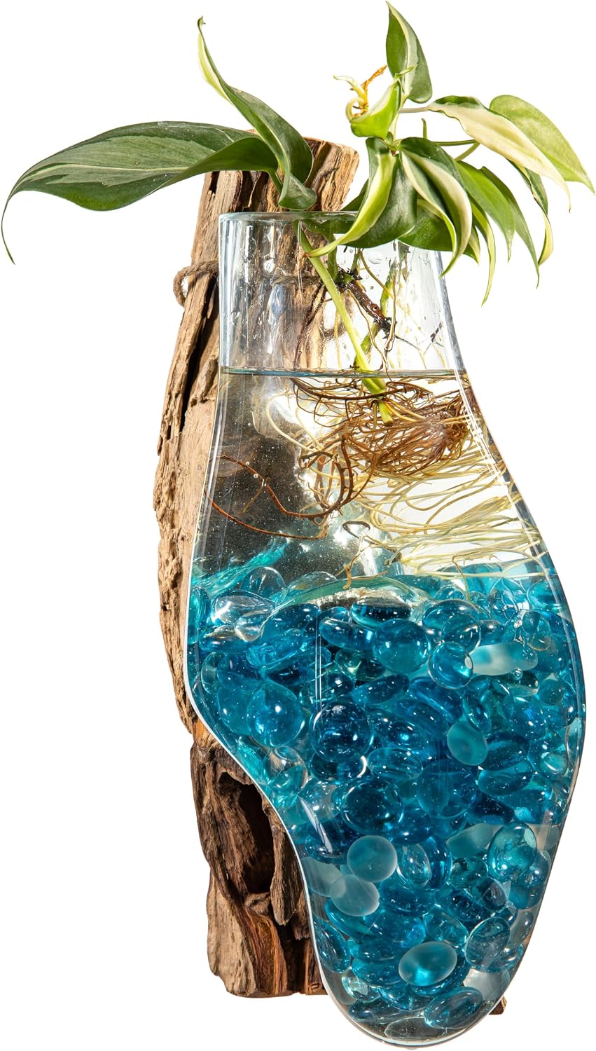 Driftwood Glass Wall Terrarium