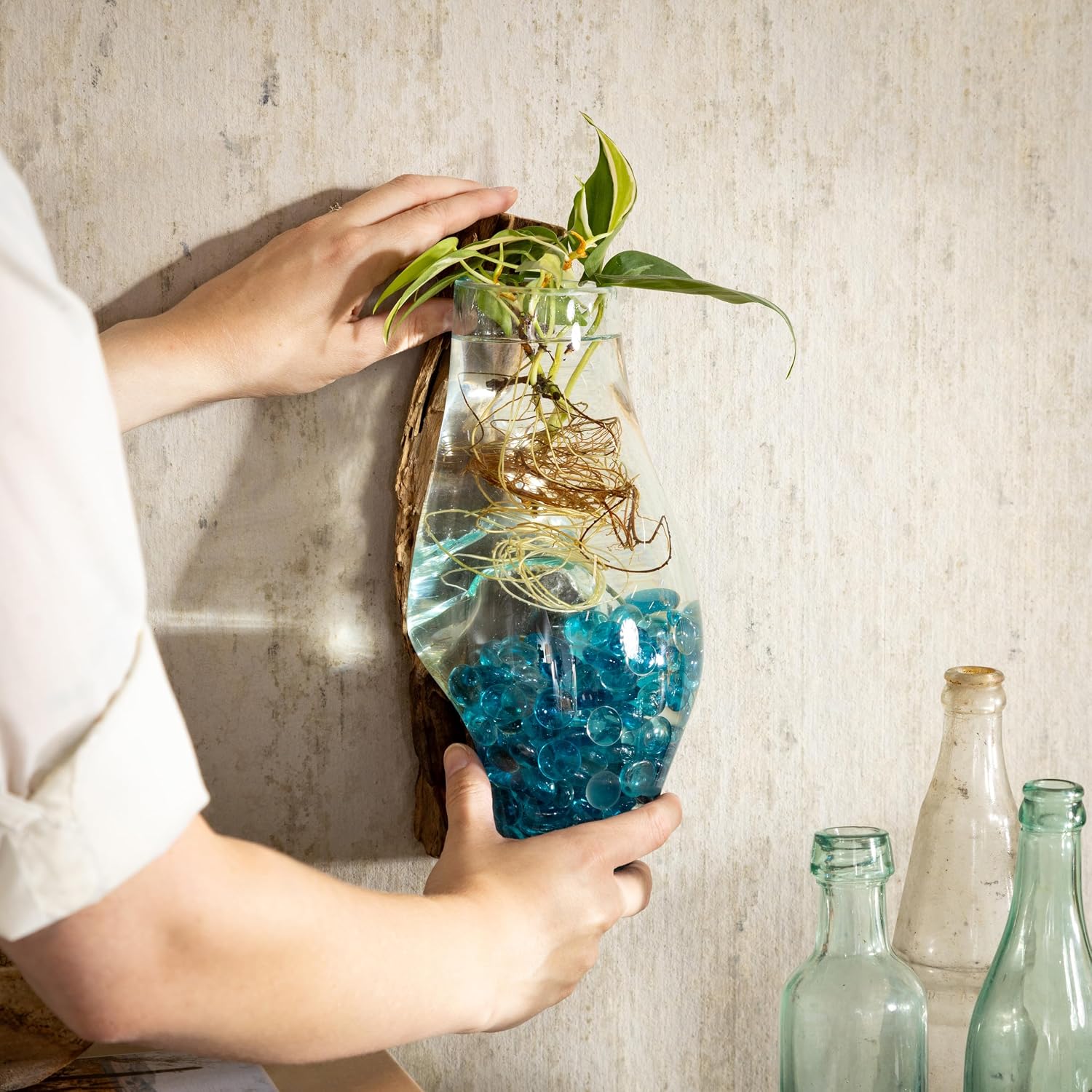Driftwood Glass Wall Terrarium