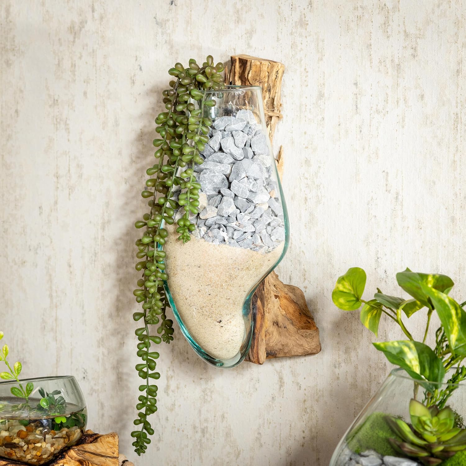Driftwood Glass Wall Terrarium